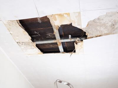 About Victoria Mold Specialist - mold removal experts in Victoria, TX